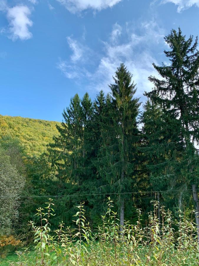 Sklené Teplice Grand Spa Holiday Home II מראה חיצוני תמונה